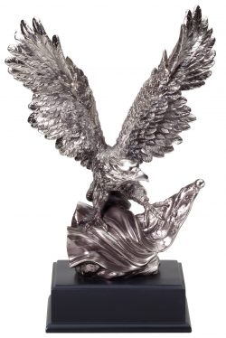 Silver Eagle 19"-0